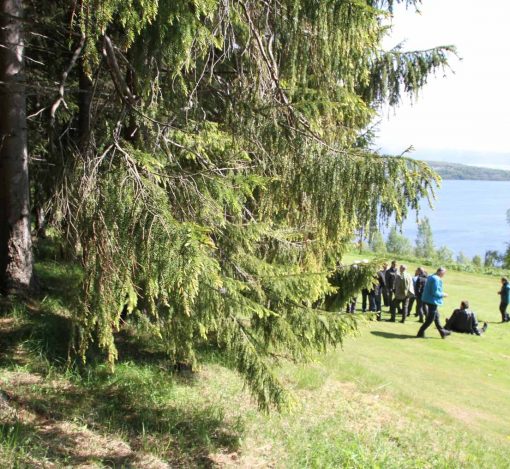 Kystskogbruket og Norsk Skogbruk samarbeider om å spre mer informasjon om skogbruk langs kysten. (Illustrasjonsfoto).