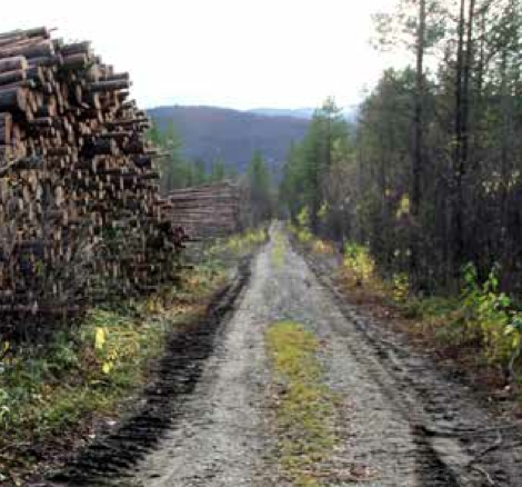 Skogsbilveger som turveger - Troms