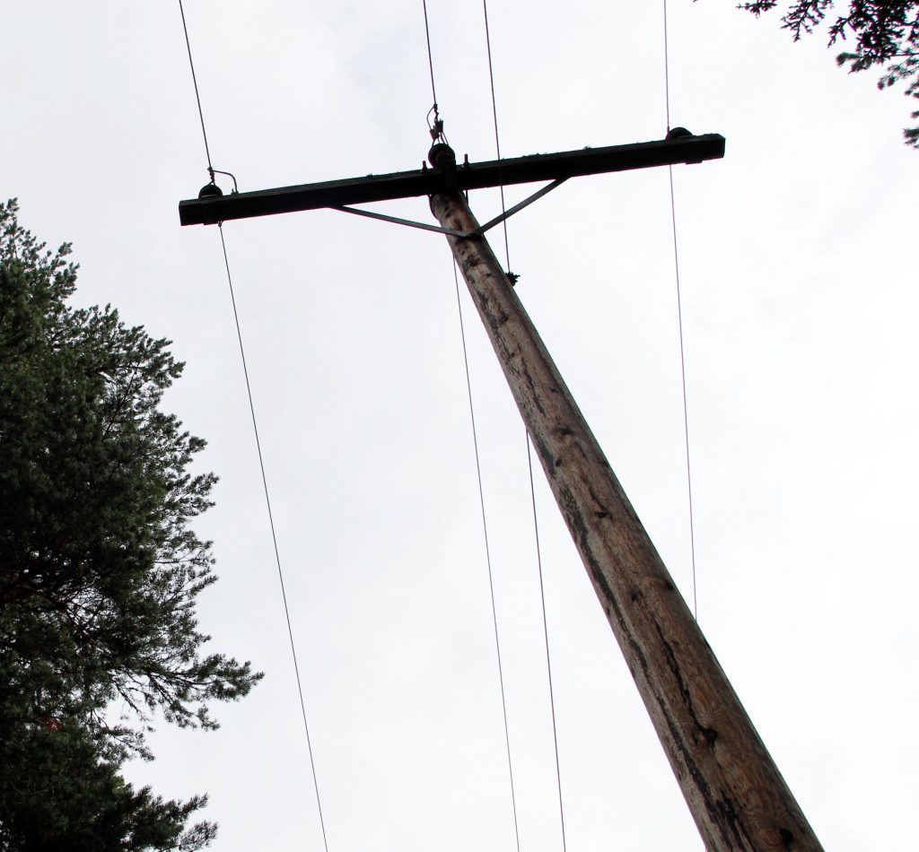 Høyspentmast i skog