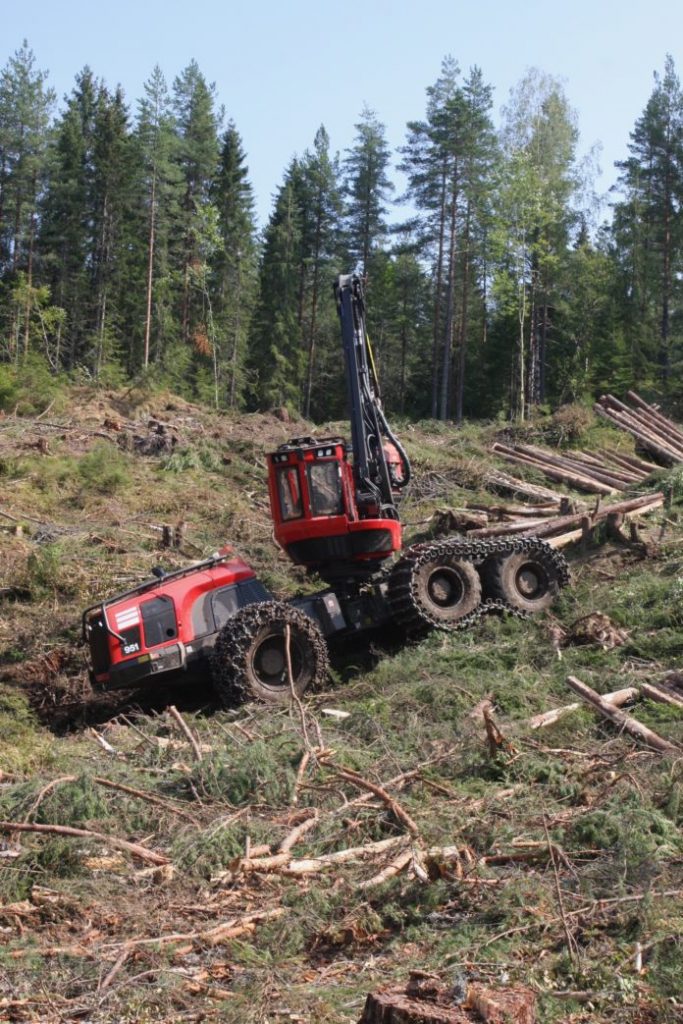 FÅR FORTSETTE: De arbeidskrevende og dyre driftene kan fortsette med tilskudd på nyåret – til de 50 millionene er brukt opp