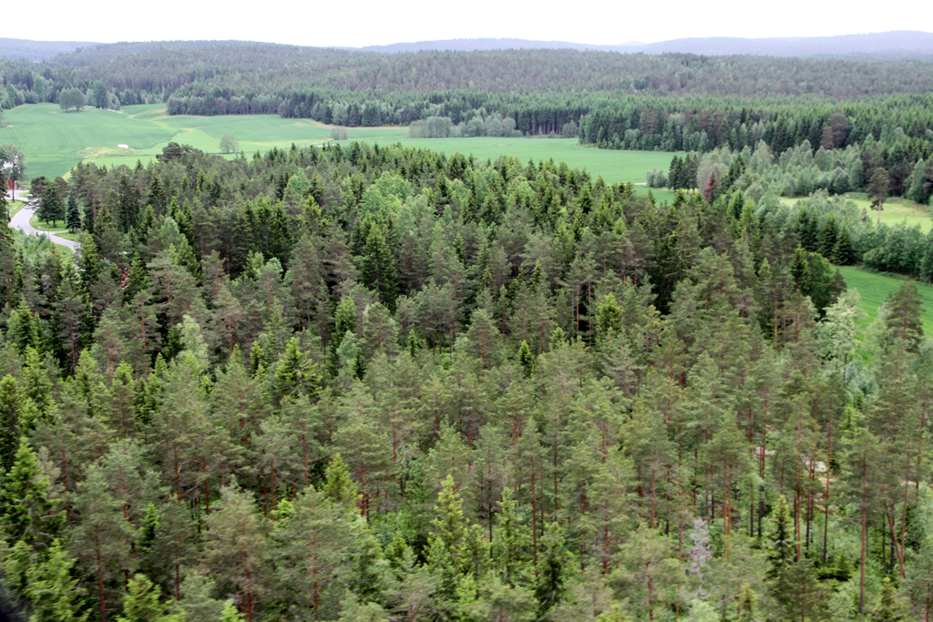 <i class="fa fa-plus" aria-hidden="true"></i> Nytt rammeverk fra EU: Karbonfarming – et nytt produkt fra skogen