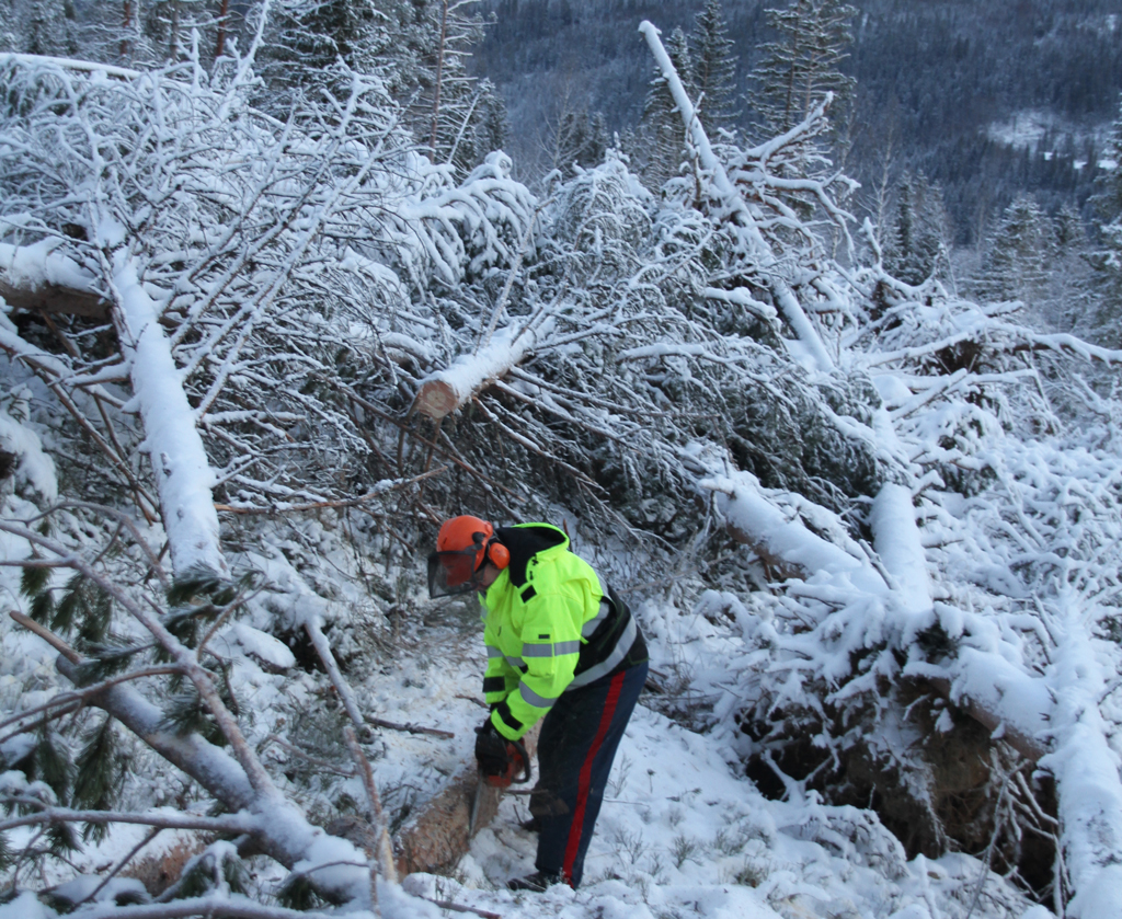 <i class="fa fa-plus" aria-hidden="true"></i> Stormen Johannes rammet Sverige og Finland hardt