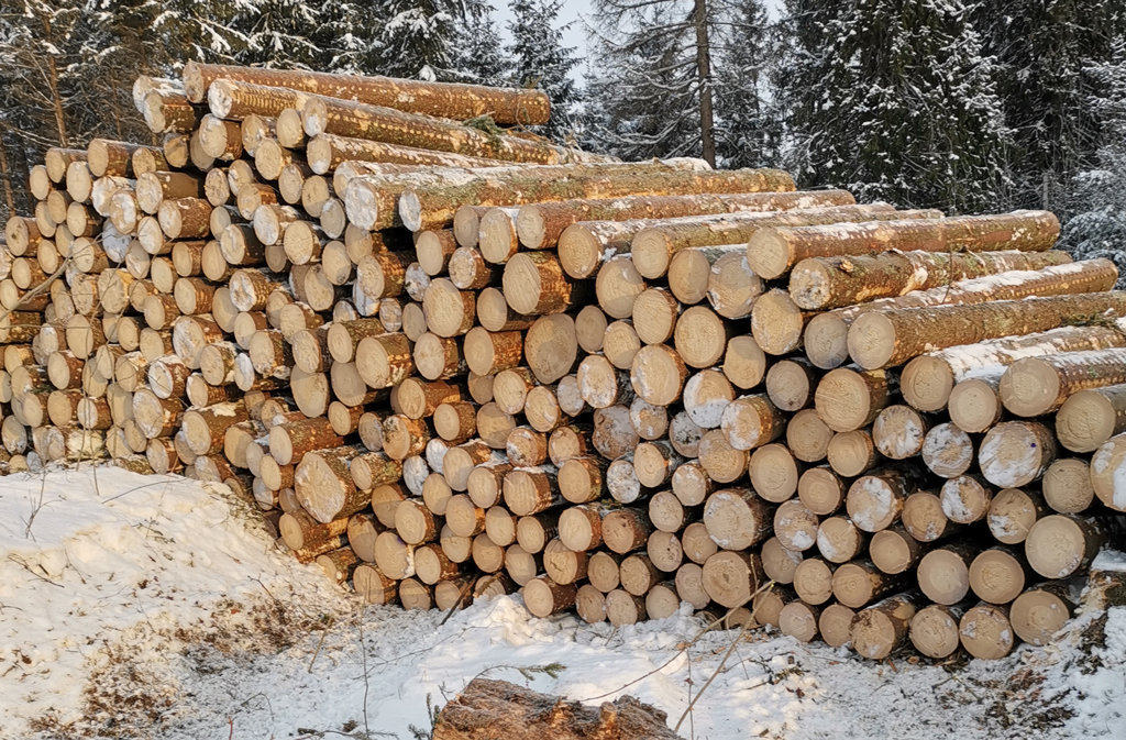 Nok et rekordår for avvirkning i 2025 – men tømmerprisene er på tur ned