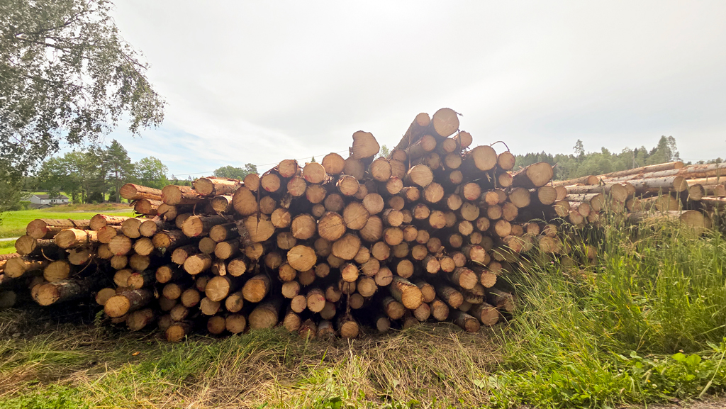 Hva driver norske skogeiere? 