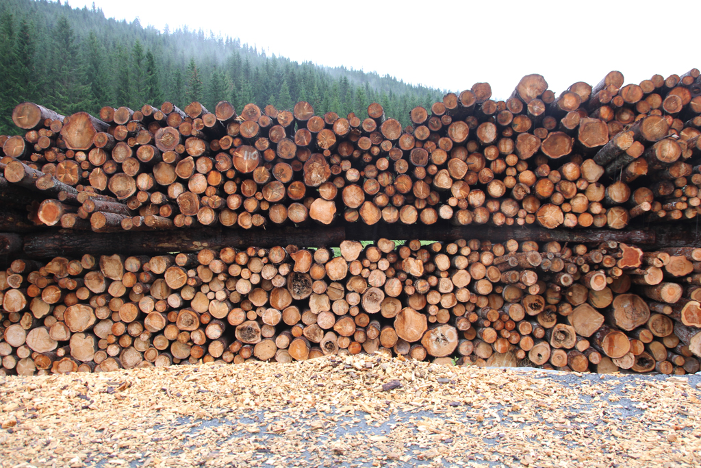 <i class="fa fa-plus" aria-hidden="true"></i> Ny avvirkningsrekord: 13,47 millioner kubikkmeter til industrien i 2025