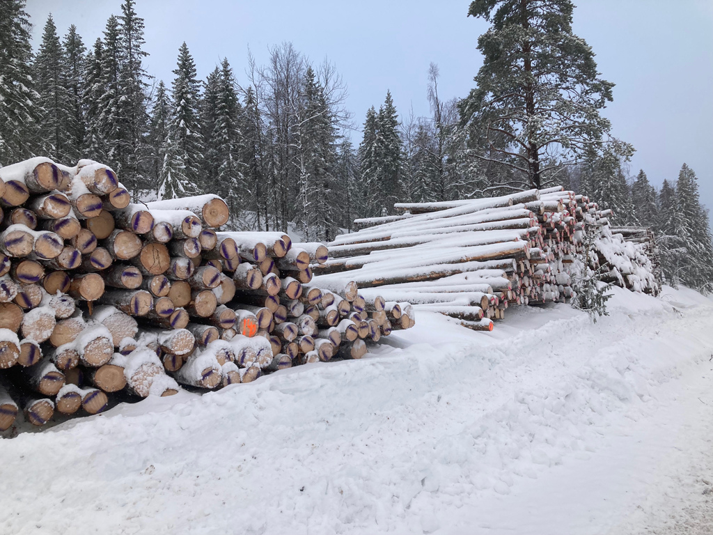 <i class="fa fa-plus" aria-hidden="true"></i> Tømmerprisen nesten nede på 2024-nivå